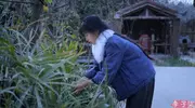 李子柒,归来仍是王者!